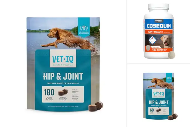 Detailed view of Best Vet Recommended Joint Health Supplement For Dogs