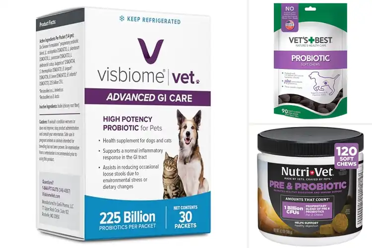 Detailed view of Best Vet-Recommended Probiotics: Top 10 Picks for Pet Health