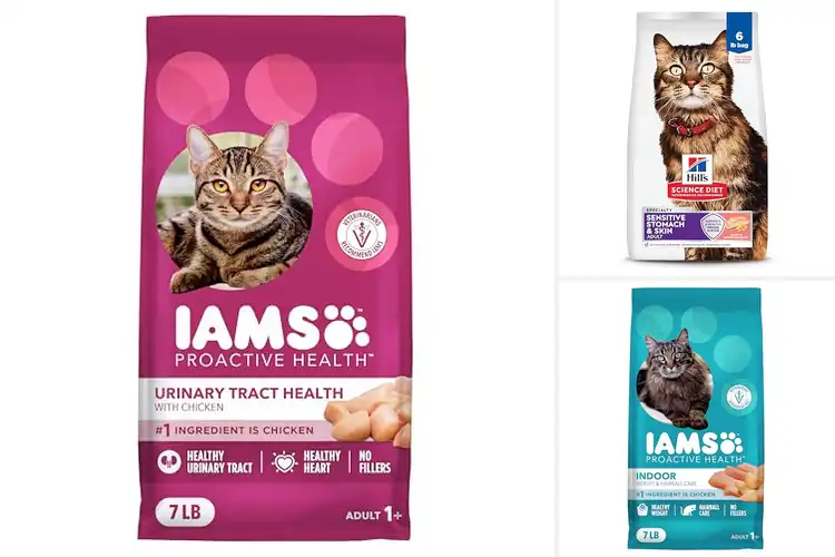 Detailed view of Best Veterinarian Recommended Cat Foods