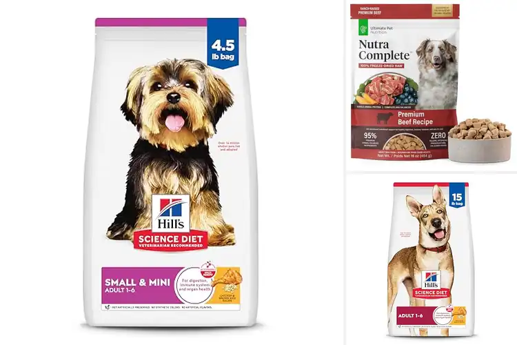 Detailed view of Best Veterinarian-Recommended Dog Foods