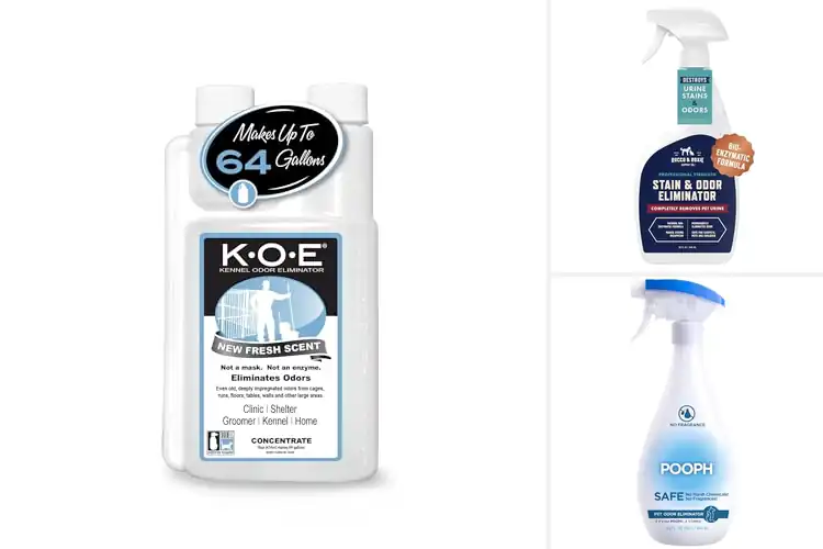 Detailed view of Best Veterinary Odor Eliminators