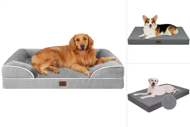 Detailed view of Best Waterproof Dog Beds for Comfy, Dry Rest