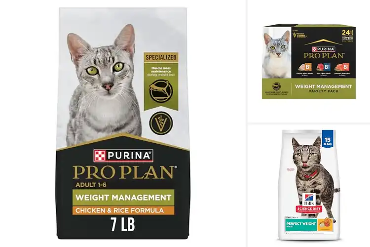 Detailed view of Best Weight Management Cat Foods