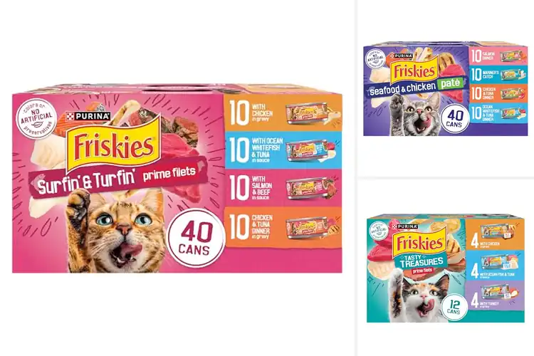 Detailed view of Best Wet Cat Foods: 10 Top Picks for a Happy, Healthy Feline