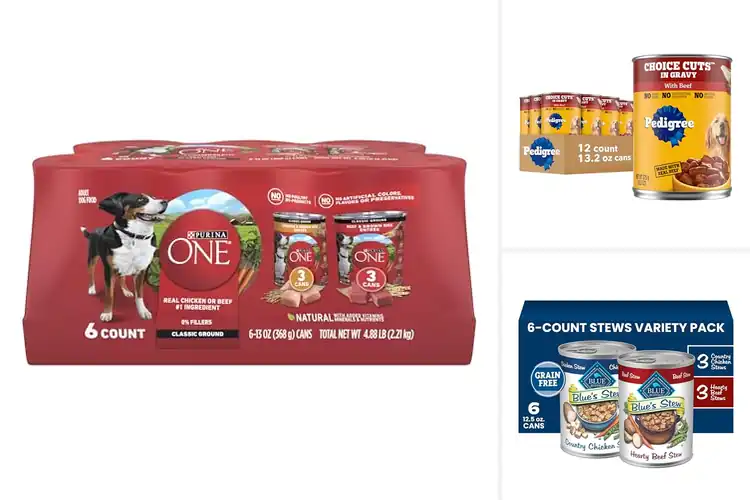 Detailed view of Best Wet Dog Foods: Top 10 Nutritious Picks for Your Pup
