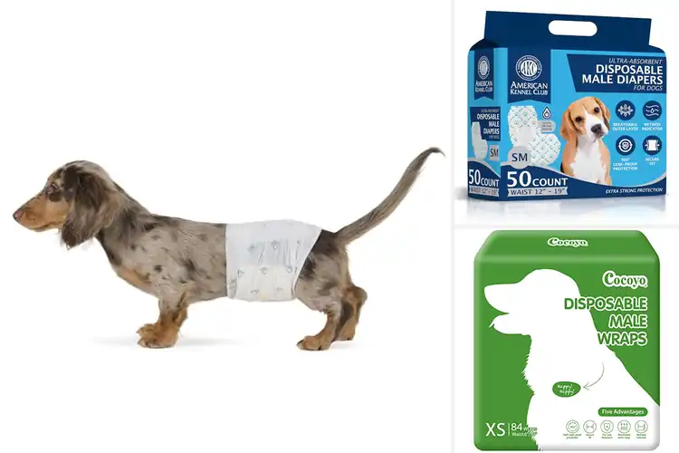 Detailed view of Best Wetness Indicator Dog Wraps: Top 10 Picks