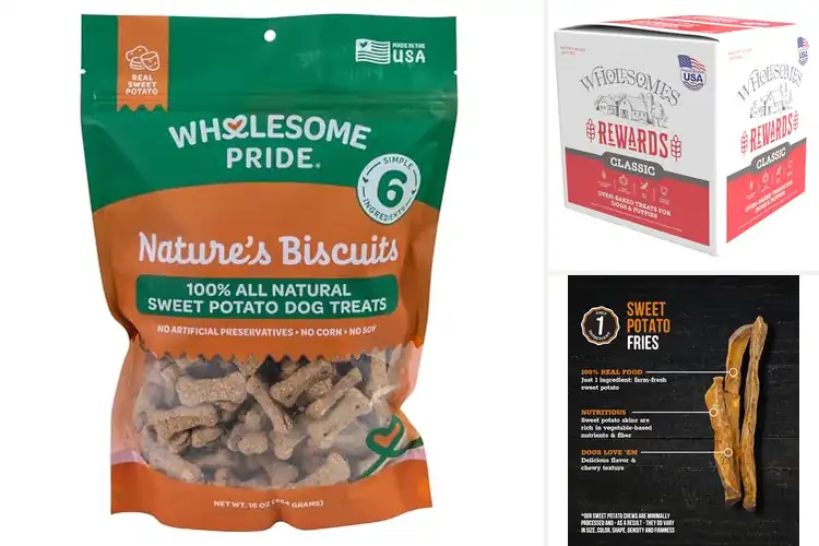 Detailed view of Best Wholesome Dog Treats