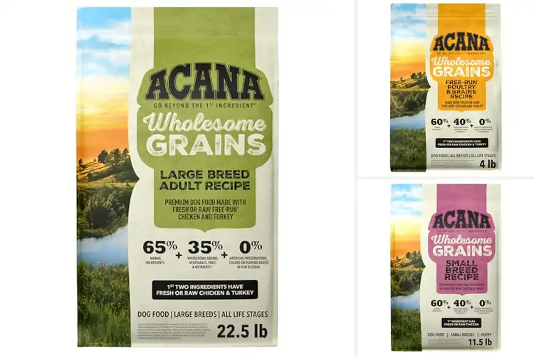 Detailed view of Best Wholesome Grain Dog Foods