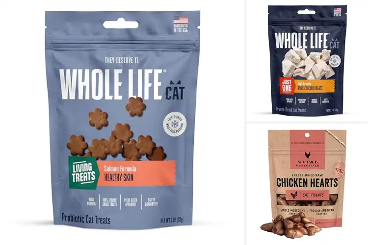 Detailed view of Best Wholesome Ingredients Cat Treats